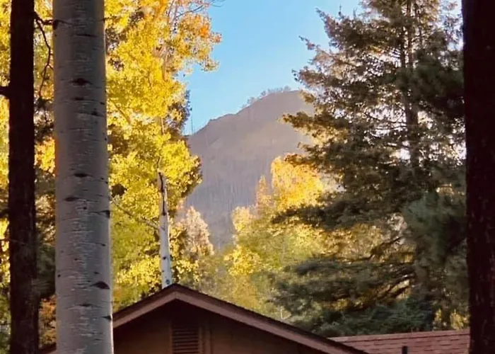 The For 20 Great For Groups Alpine
